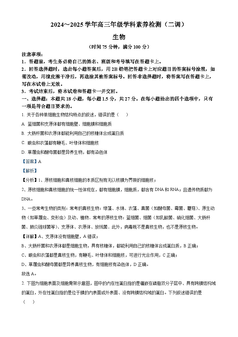 河北省衡水市2024-2025学年高三上学期9月第二次调研考试生物试题 Word版含解析第1页