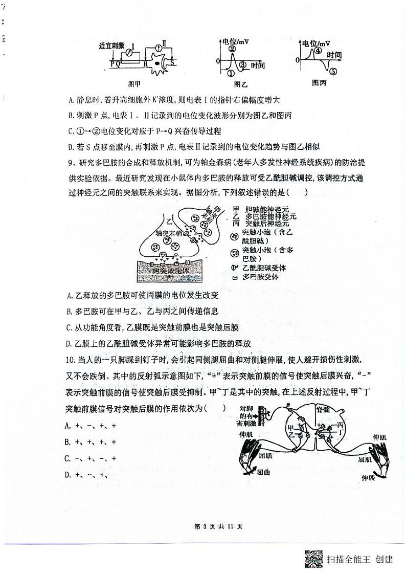 山东省泰安市宁阳县第一中学2024-2025学年高二上学期10月月考生物试题第3页