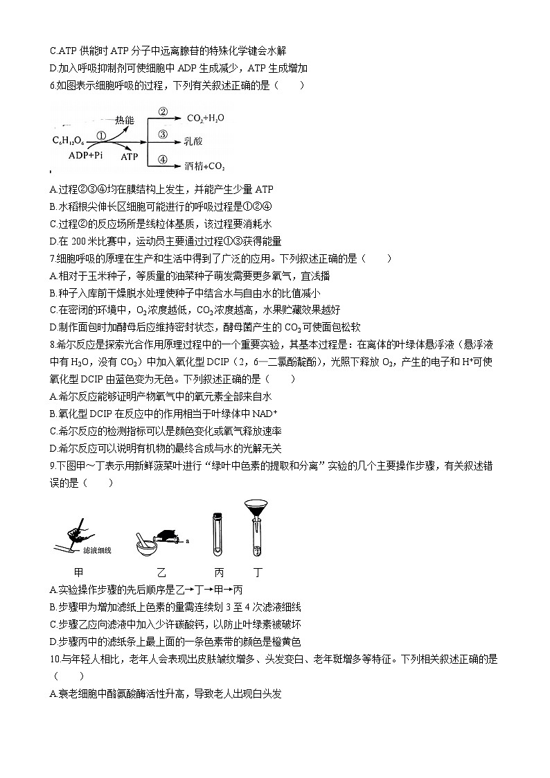 福建省百校2024-2025学年高三上学期10月测评生物试题第2页