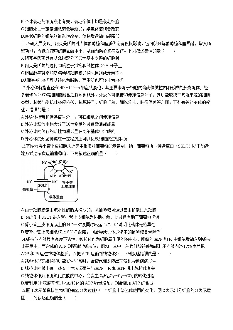 福建省百校2024-2025学年高三上学期10月测评生物试题第3页