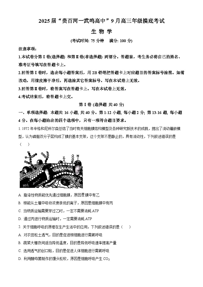精品解析:广西壮族自治区河池市八校协作体2025届高三一模考试生物试题(原卷版)第1页