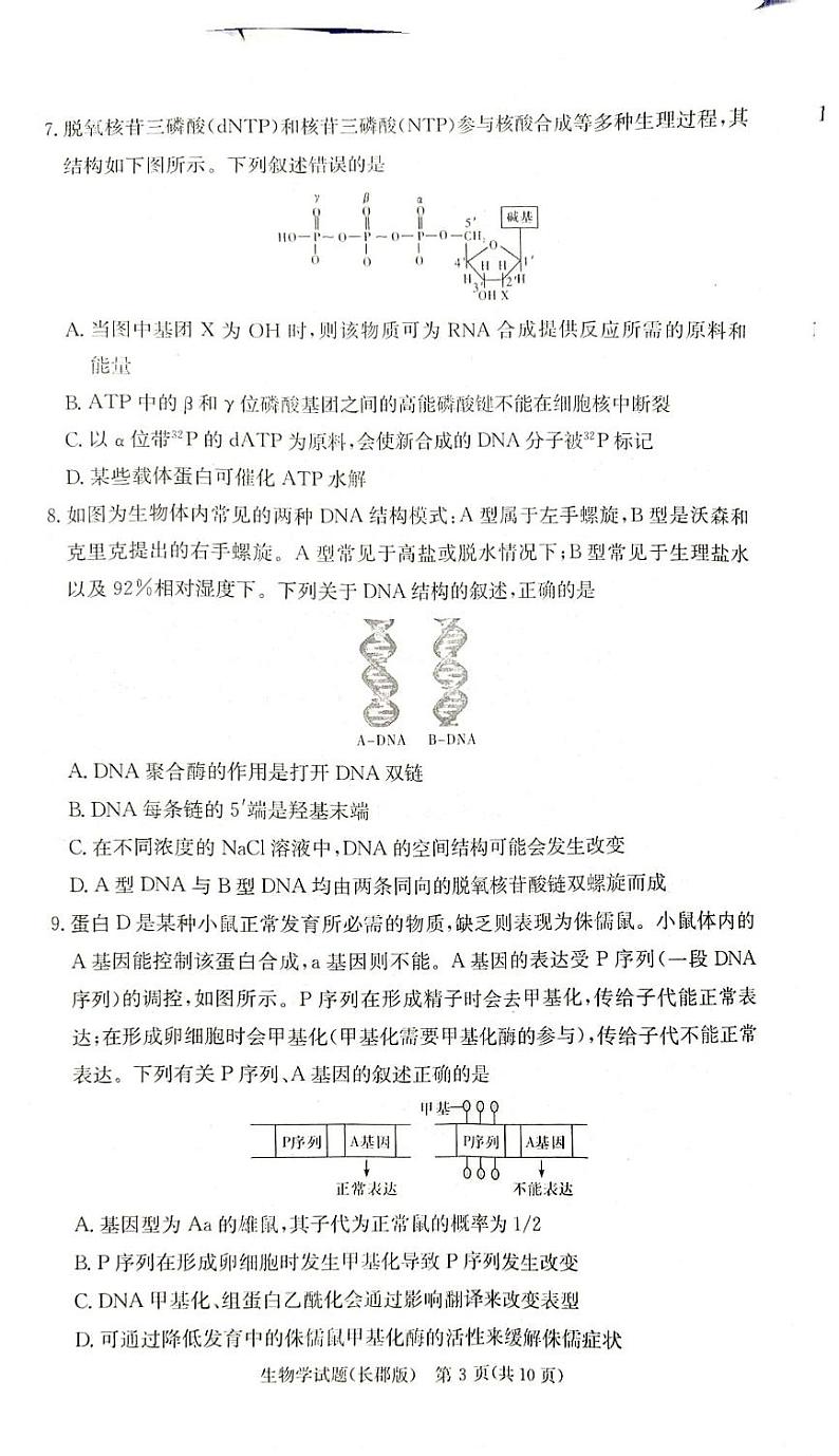 生物丨炎德英才大联考湖南省长郡中学2025届高三10月考(二)生物试卷及答案03