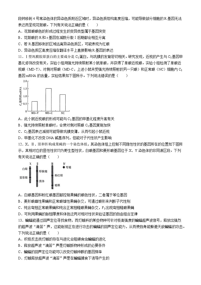 河南省部分名校2024-2025学年高三上学期10月阶段性检测二生物试题03