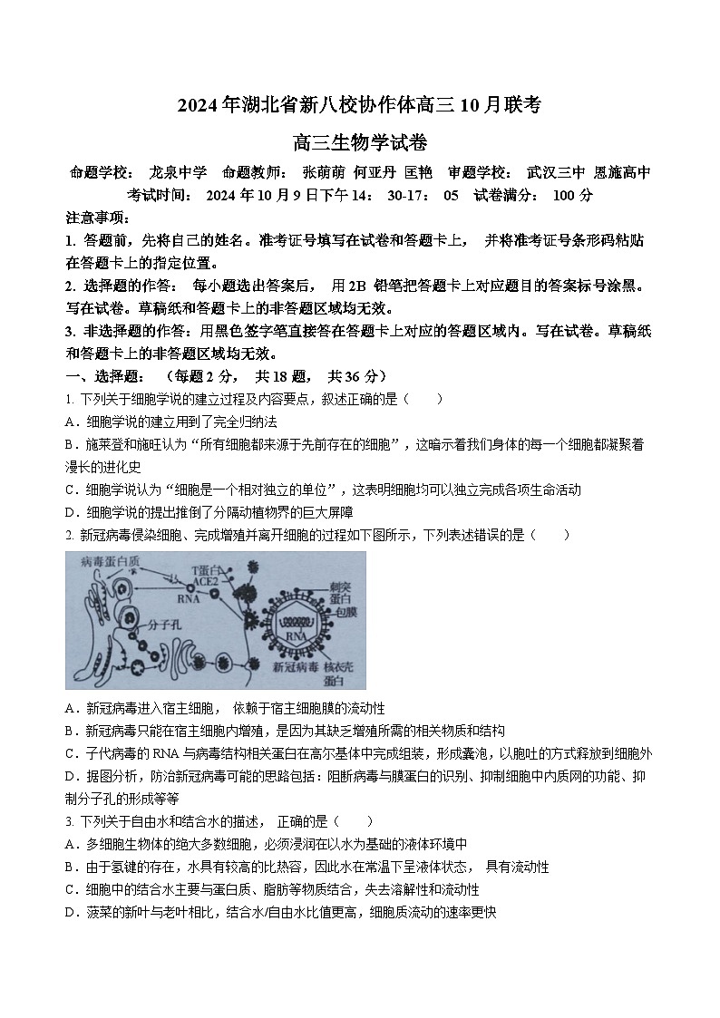 湖北省新八校协作体2024-2025学年高三上学期10月联考生物试题(无答案)第1页