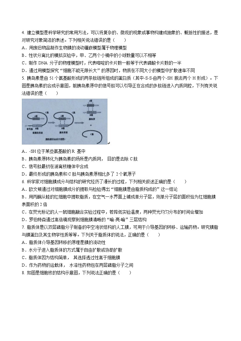 湖北省新八校协作体2024-2025学年高三上学期10月联考生物试题(无答案)第2页