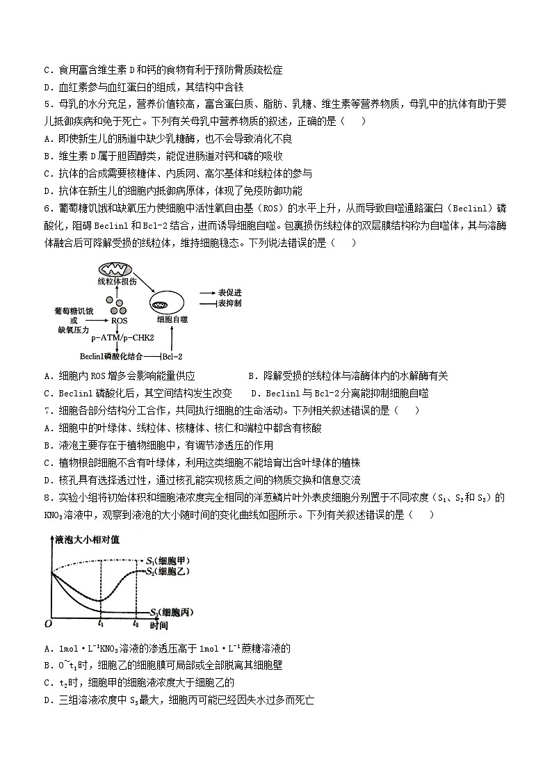 湖北省百校大联考2024-2025学年高三上学期10月考试生物试题第2页
