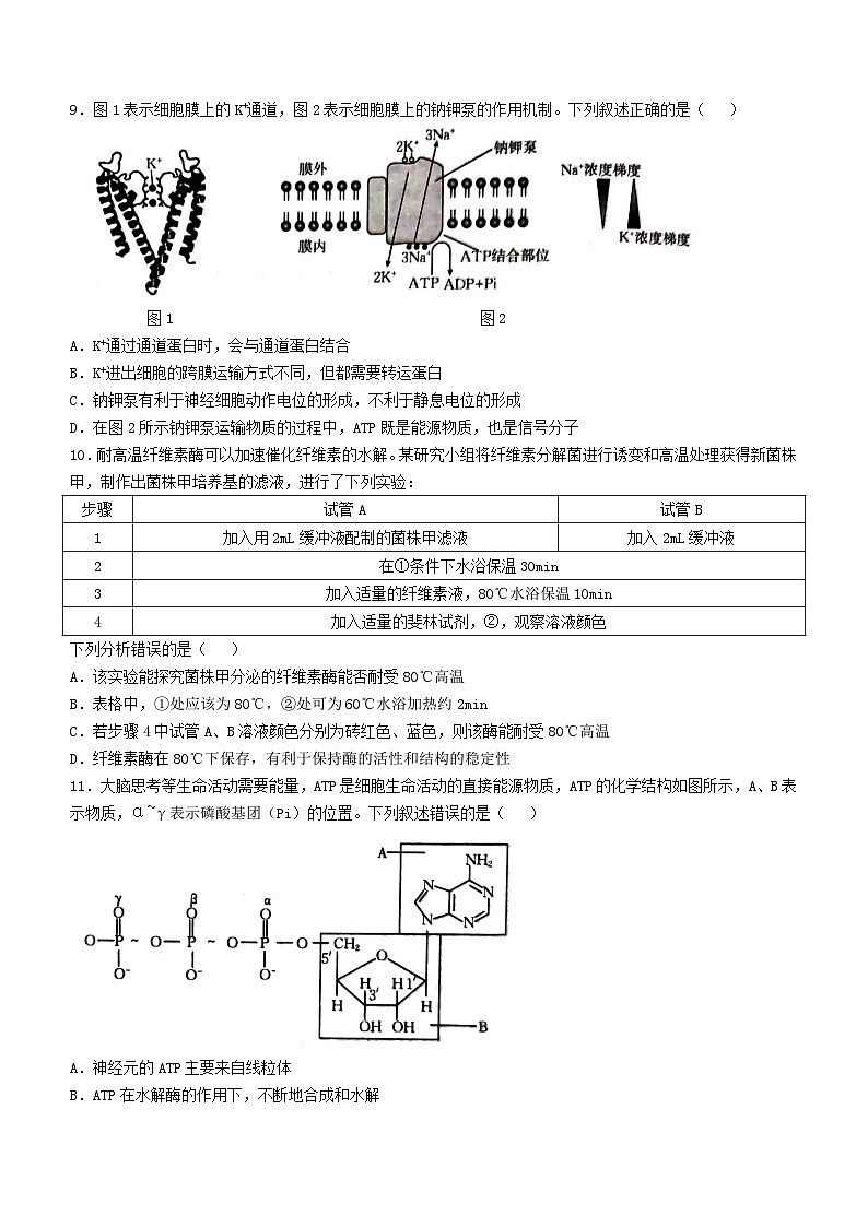 湖北省百校大联考2024-2025学年高三上学期10月考试生物试题第3页