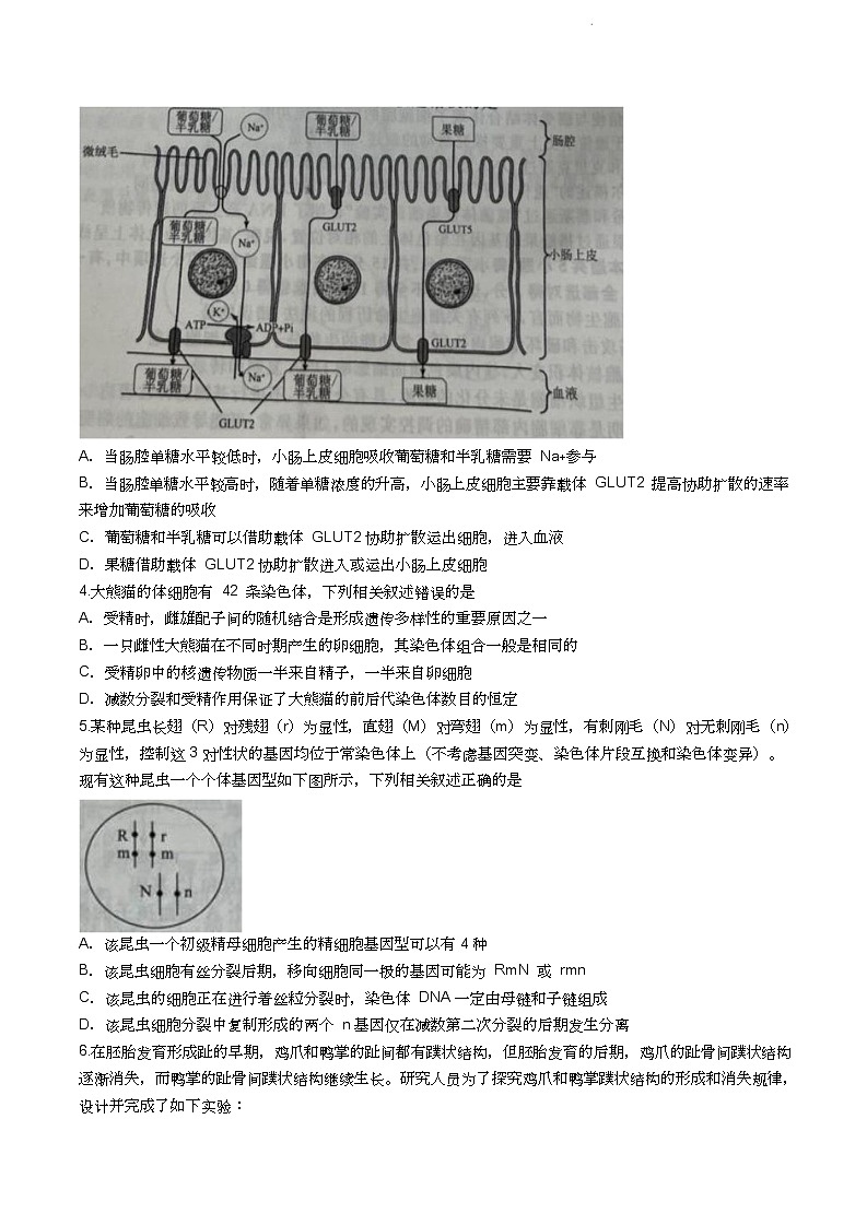 辽宁省名校联盟2023-2024学年高三10月月考生物试题第2页