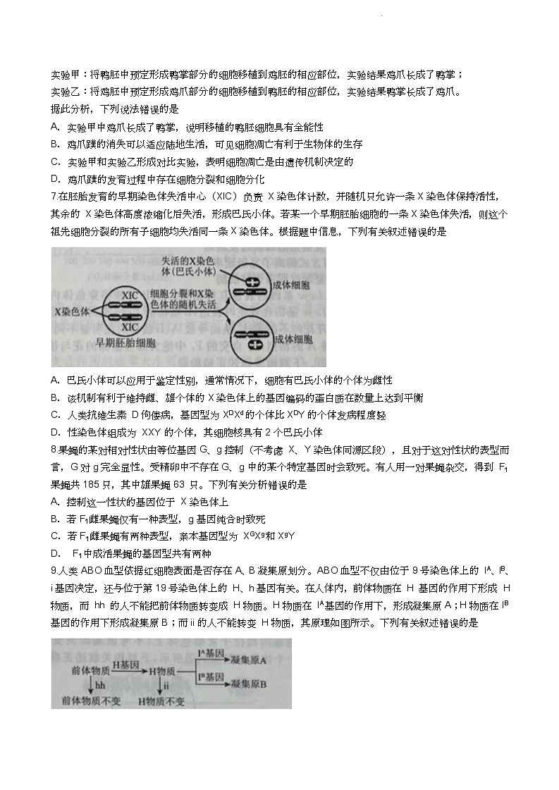 辽宁省名校联盟2023-2024学年高三10月月考生物试题第3页