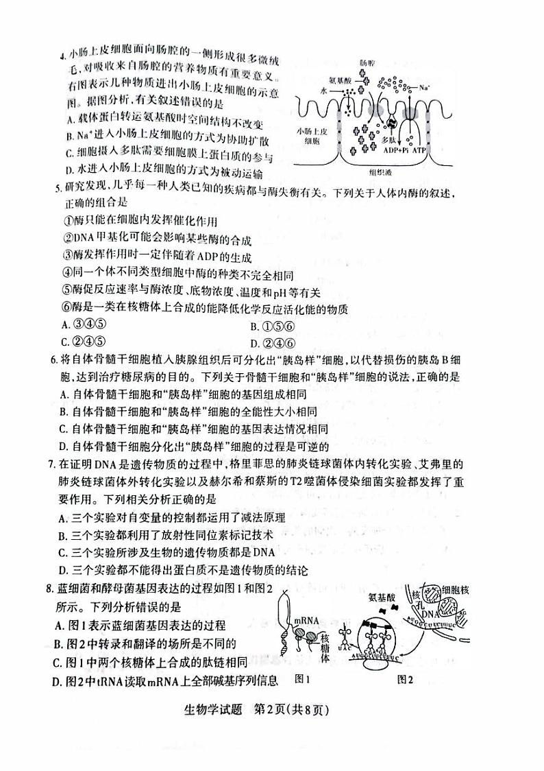 山西省大同2023_2024高三生物上学期10月月考试题pdf无答案第2页