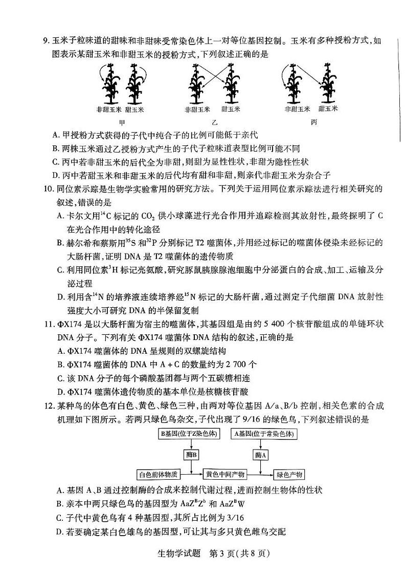 山西省三晋名校联盟2023_2024学年高三生物上学期期中阶段测试试题pdf无答案第3页