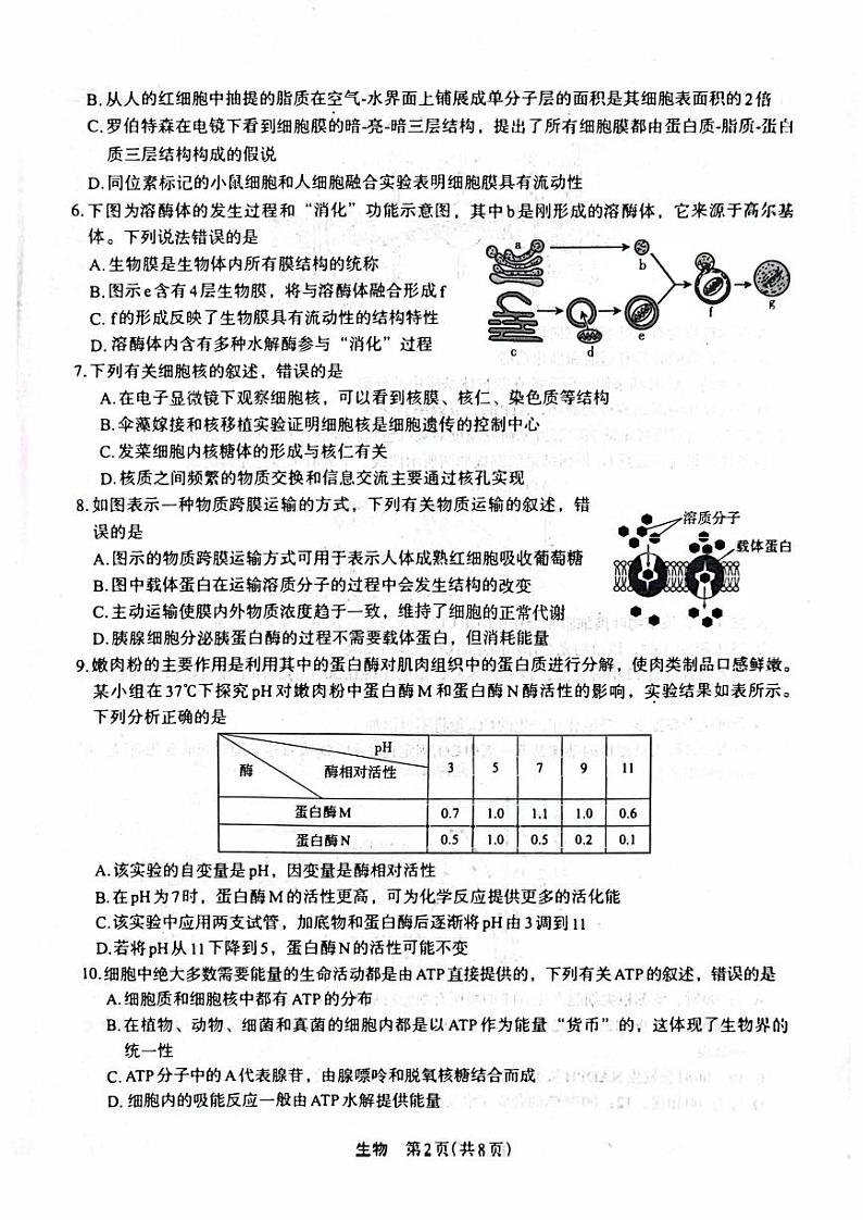 陕西省2023_2024高三生物上学期10月质量检测考试题pdf02