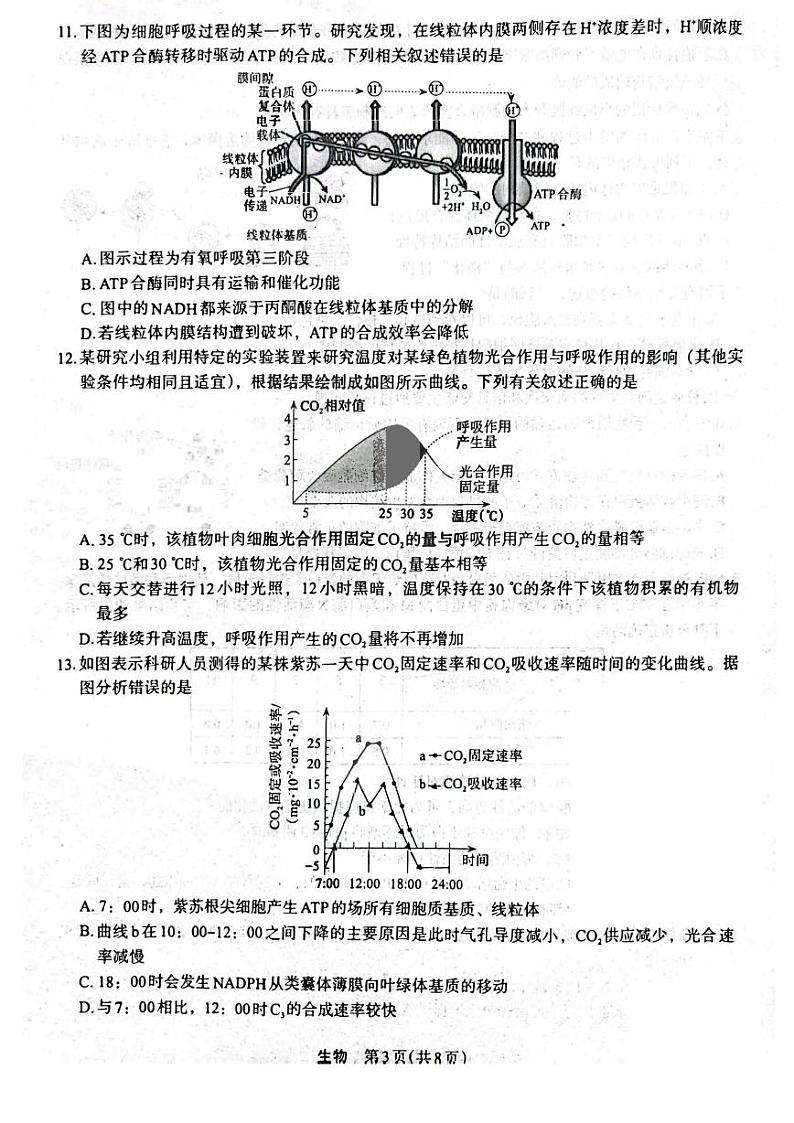 陕西省2023_2024高三生物上学期10月质量检测考试题pdf03