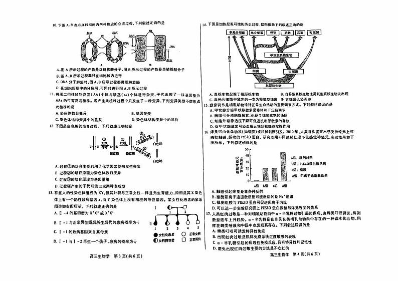 内蒙古包头2023_2024高三生物上学期开学调研考试试题pdf第2页
