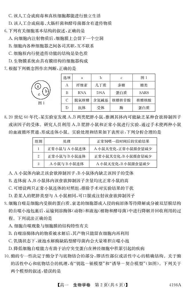 广东省五校2023_2024学年高一生物上学期12月联考试题pdf02