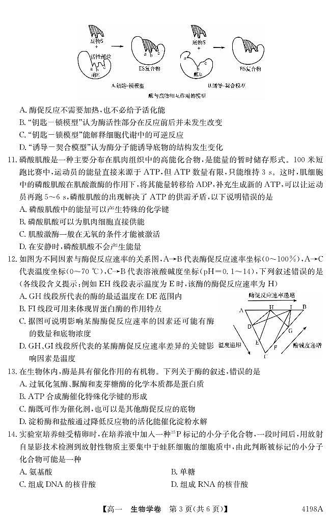 广东省五校2023_2024学年高一生物上学期12月联考试题pdf03