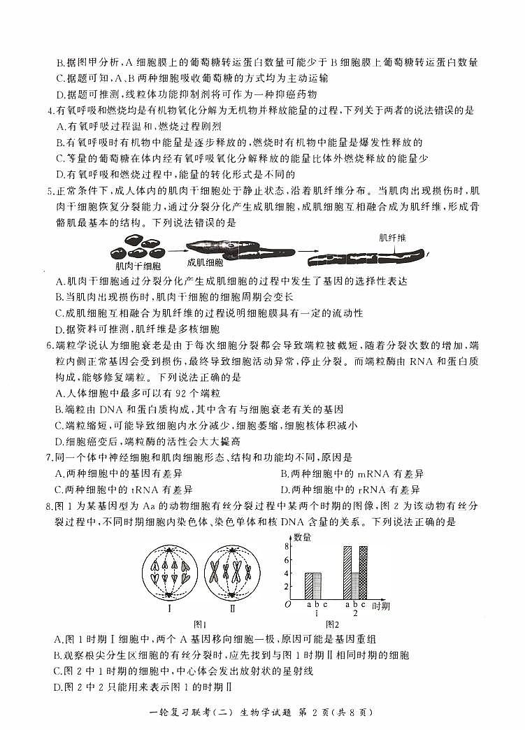 河南省豫北2023_2024高三生物上学期一轮复习新高考联考试卷二pdf02