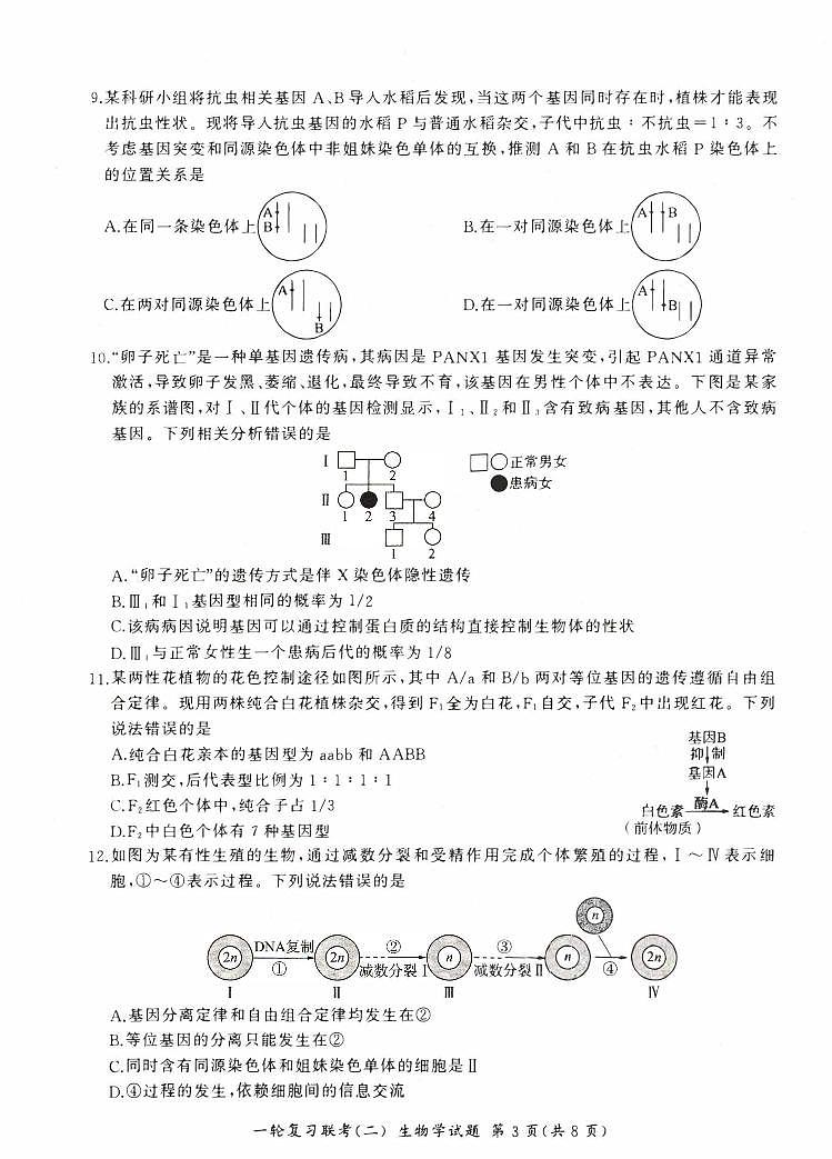 河南省豫北2023_2024高三生物上学期一轮复习新高考联考试卷二pdf03