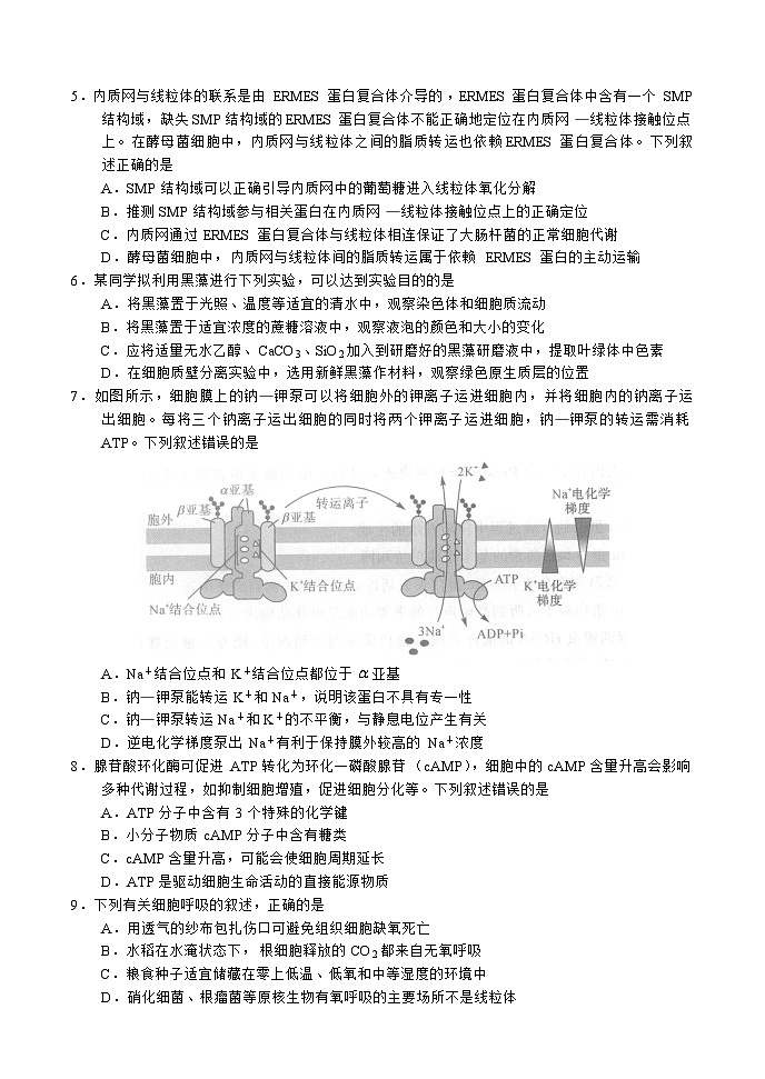 河南省中原2023_2024高三生物上学期9月联合调研考试试题第2页