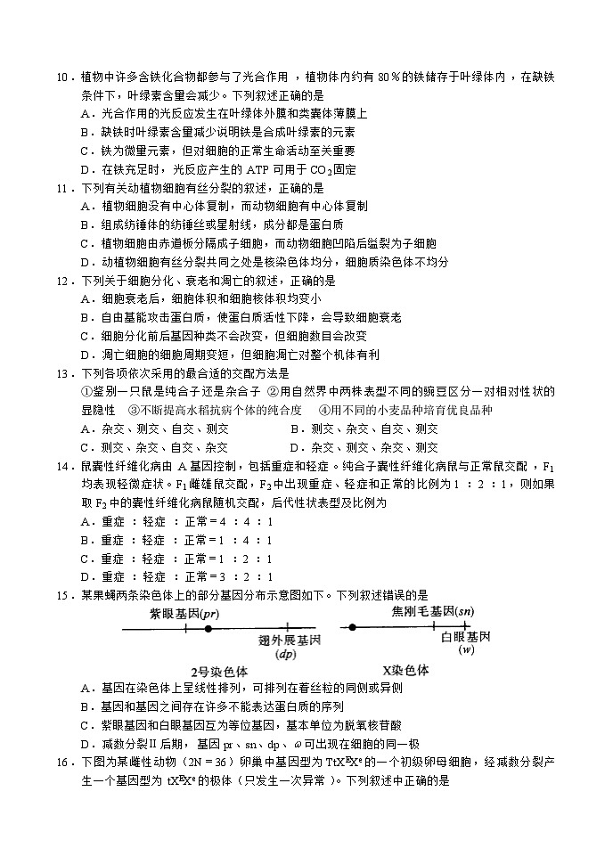 河南省中原2023_2024高三生物上学期9月联合调研考试试题第3页