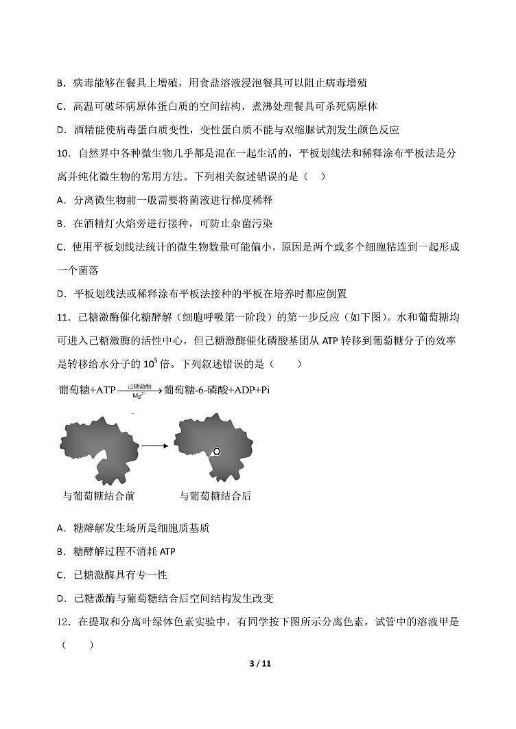 黑龙江省牡丹江市三中2023_2024高三生物上学期开学考试试题pdf第3页