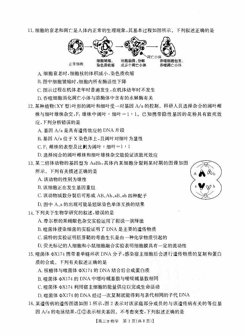 山西省2023_2024高三生物上学期10月联考试题pdf第3页