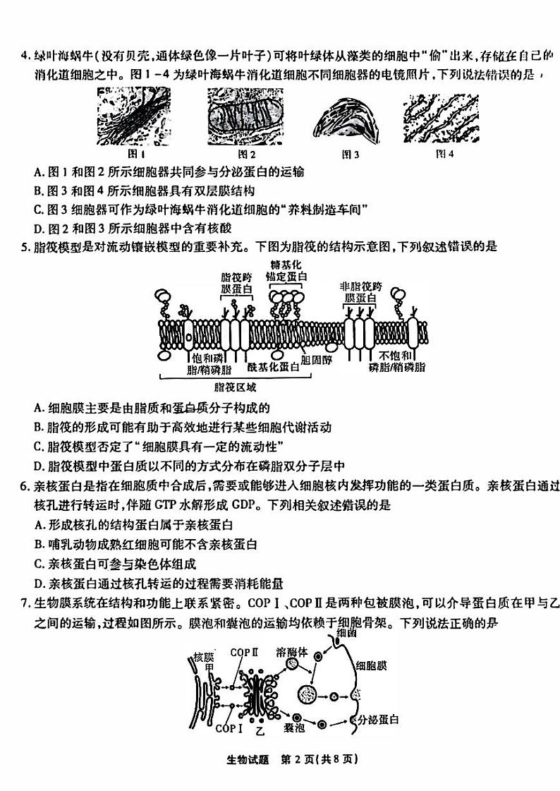 重庆市2023_2024高三生物上学期开学考试试题pdf (1)02