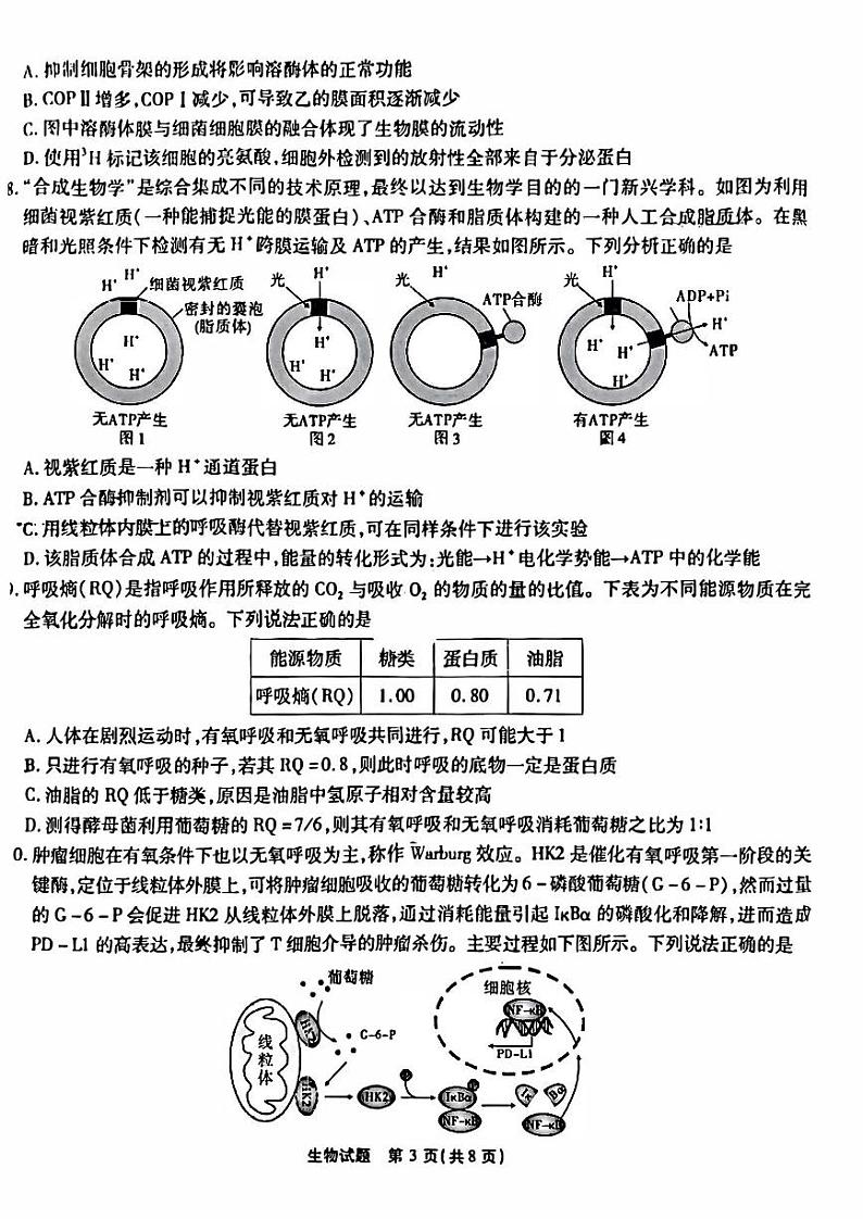重庆市2023_2024高三生物上学期开学考试试题pdf (1)03