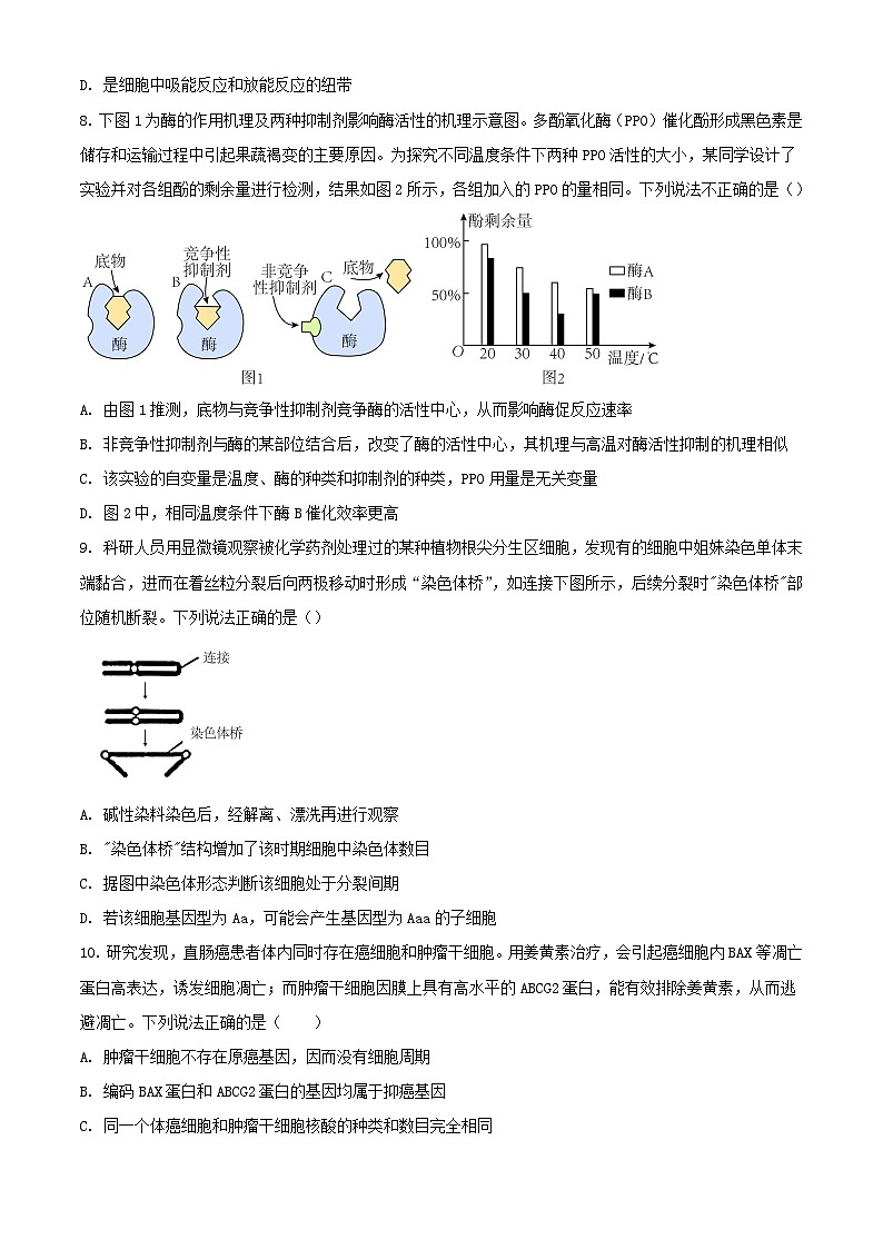 黑龙江省哈尔滨市2023_2024学年高三生物上学期11月第三次调研试题第3页