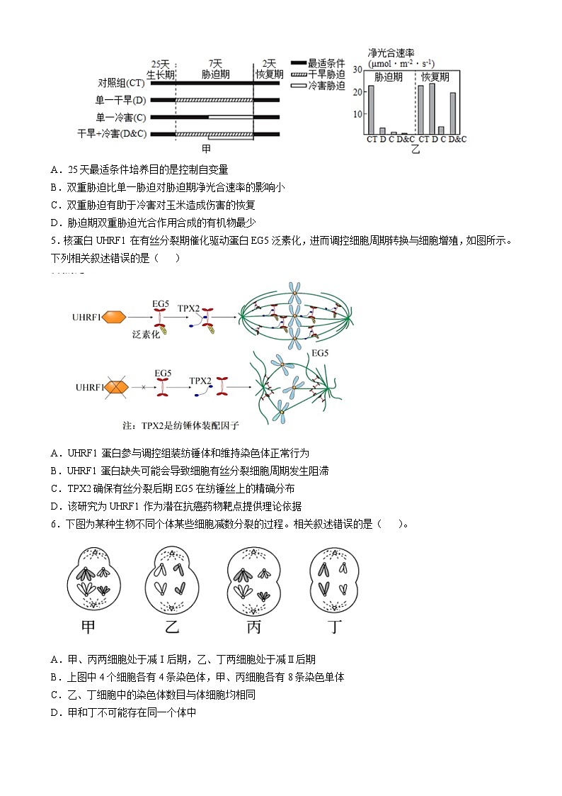 辽宁省沈阳市皇姑区实验中学2024-2025学年高三上学期10月月考生物试题第2页