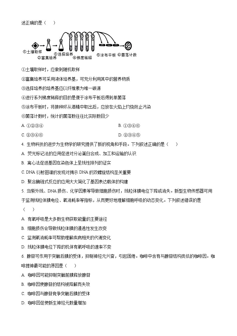广东省衡水金卷2024-2025学年高三上学期9月联考生物试题(Word版附解析)02