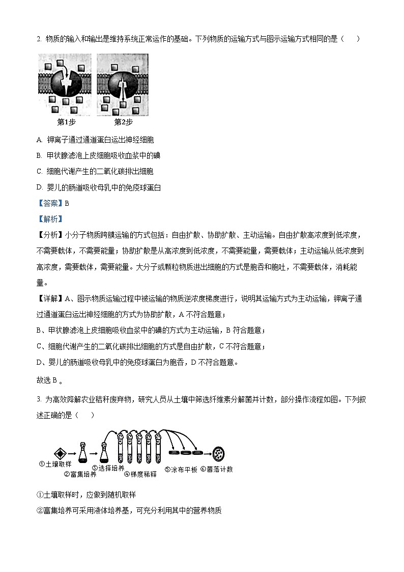 广东省衡水金卷2024-2025学年高三上学期9月联考生物试题(Word版附解析)02