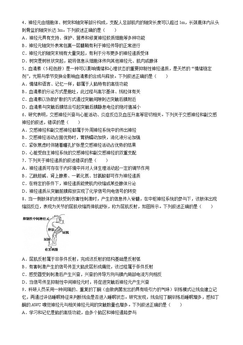河南省周口市鹿邑县2024-2025学年高二上学期10月月考生物试题(Word版附解析)第2页
