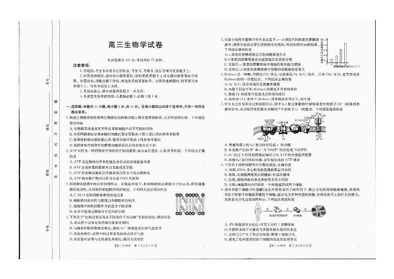 吉林内蒙古百万联考2025届高三上学期9月联考生物试题(PDF版附解析)第1页
