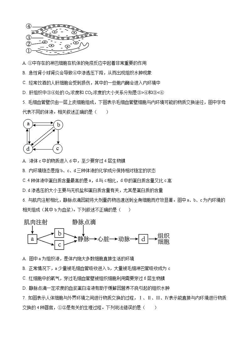 云南省玉溪市2024-2025学年高二上学期第一次月考生物试题 Word版无答案第2页
