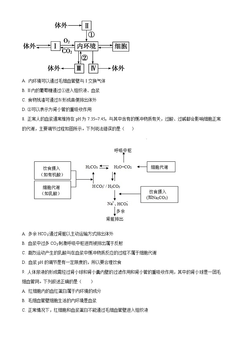 云南省玉溪市2024-2025学年高二上学期第一次月考生物试题 Word版无答案第3页