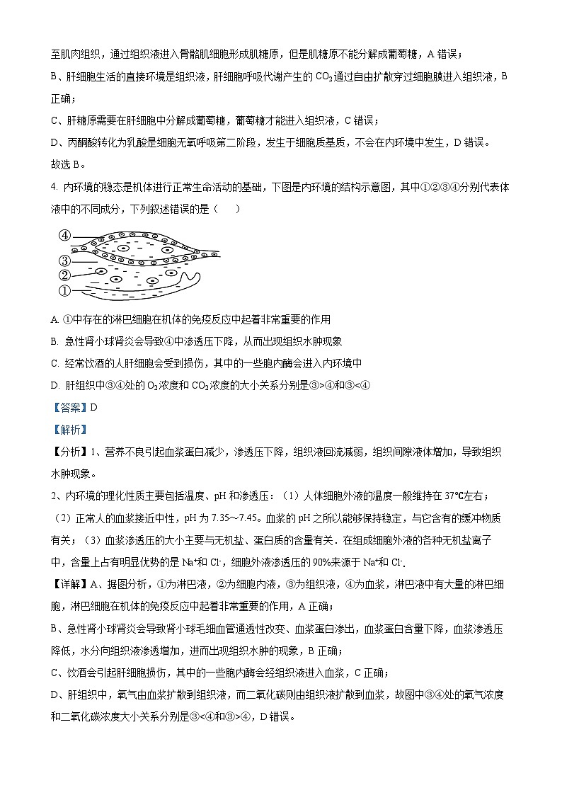 云南省玉溪市2024-2025学年高二上学期第一次月考生物试题 Word版含解析第3页