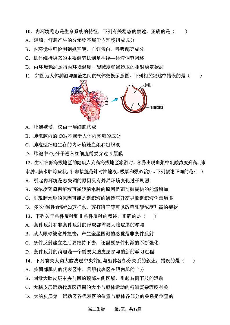 黑龙江省哈尔滨市第三中学2024-2025学年高二上学期10月月考生物试卷03