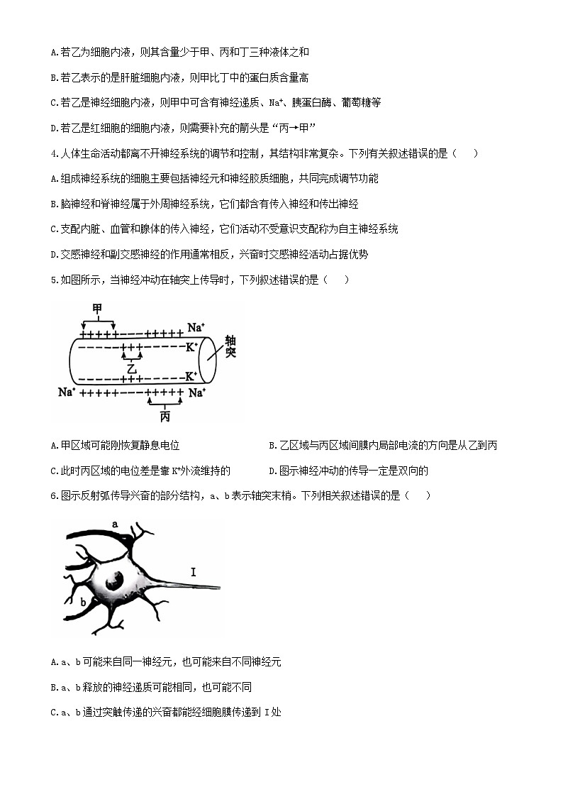 辽宁省重点高中沈阳市郊联体 2024-2025学年高二上学期10月月考生物学试题02