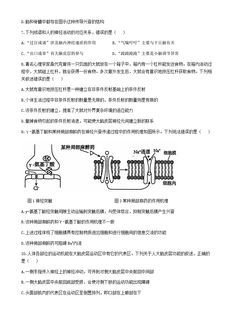 辽宁省重点高中沈阳市郊联体 2024-2025学年高二上学期10月月考生物学试题03
