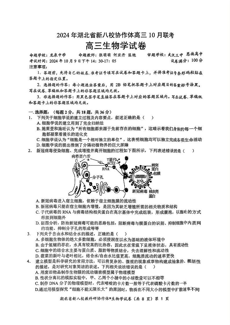 2024年湖北省新八校协作体高三10月联考 生物试卷第1页