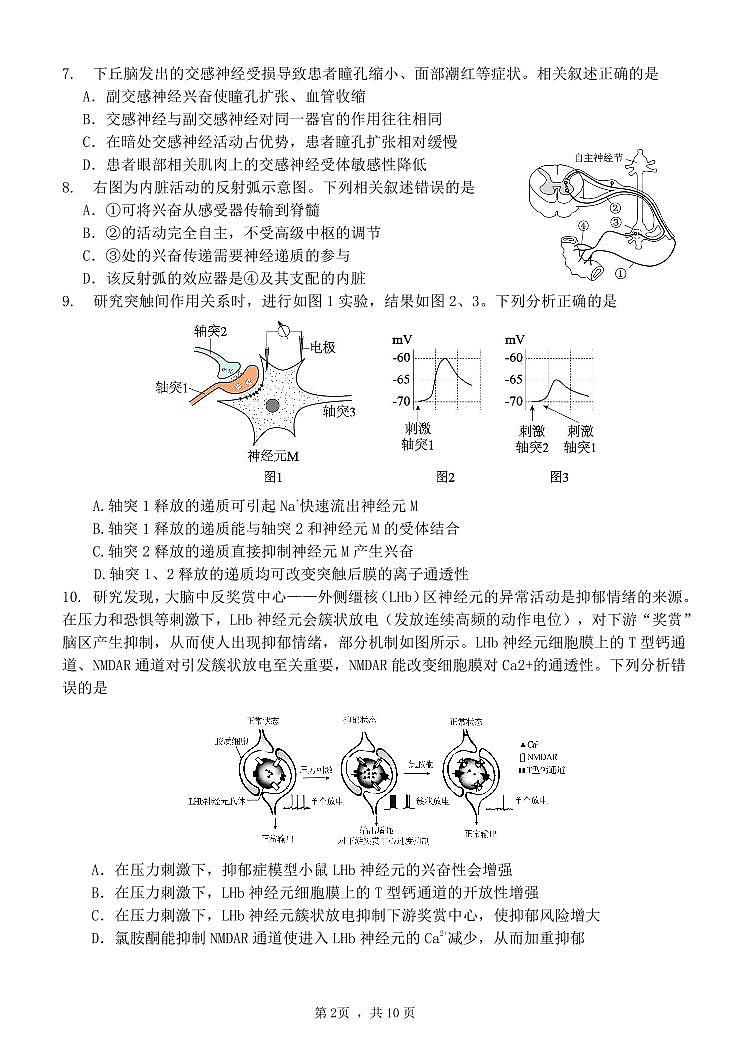 2024-2025学年第一学期10月学习质量监测试卷 - 学生版第2页