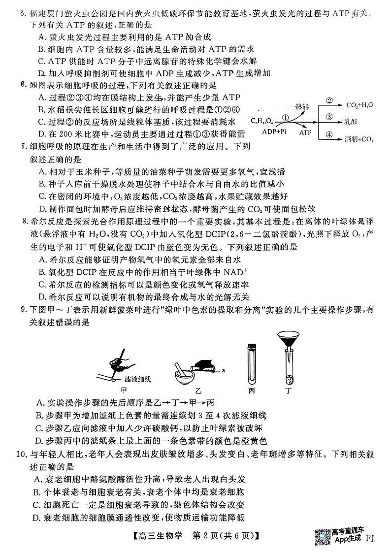 福建省百校2024-2025学年高三上学期10月测评生物试题第2页