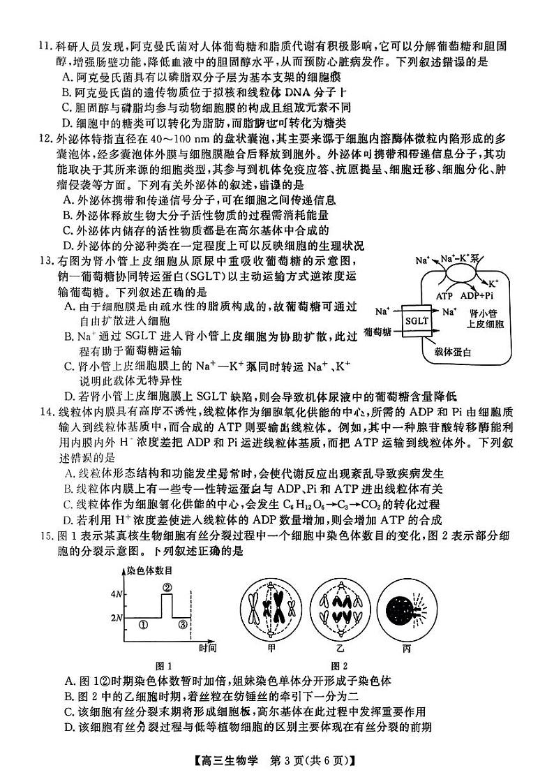 福建省百校2024-2025学年高三上学期10月测评生物试题第3页