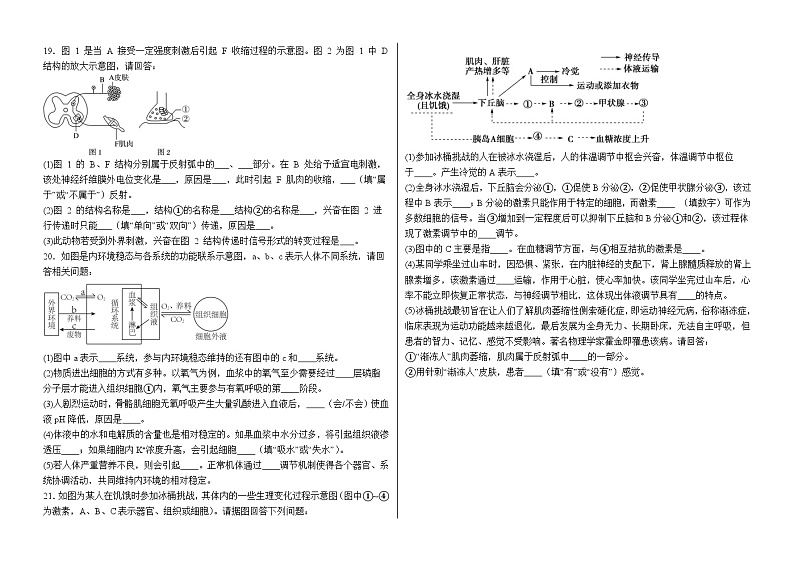 2024-2025学年度高二生物10月月考卷第3页