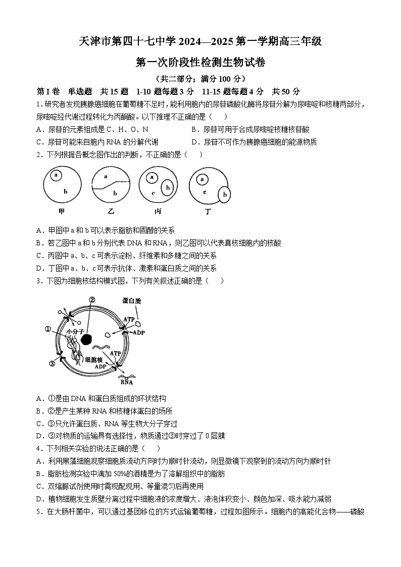 天津市北辰區(qū)天津市第四十七中學(xué)2024-2025學(xué)年高三上學(xué)期10月月考生物試題第1頁(yè)