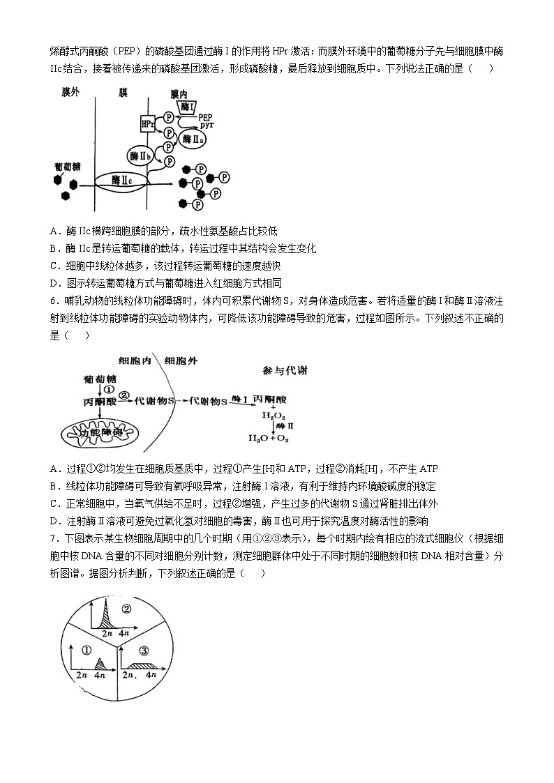 天津市北辰區(qū)天津市第四十七中學(xué)2024-2025學(xué)年高三上學(xué)期10月月考生物試題第2頁(yè)