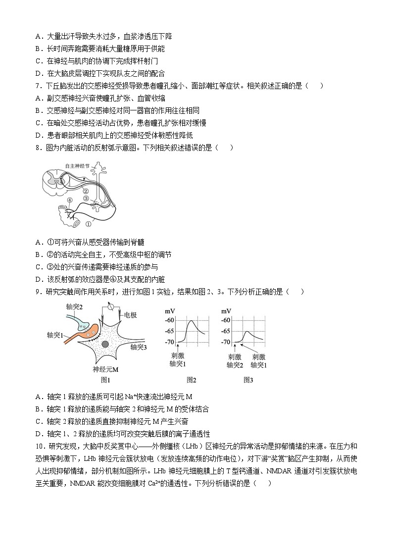 北京市清华大学附属中学朝阳学校2024-2025学年高二上学期第一学期10月月考生物试卷第2页