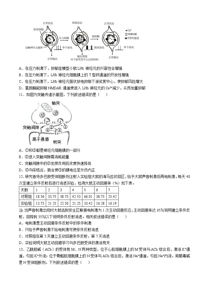 北京市清华大学附属中学朝阳学校2024-2025学年高二上学期第一学期10月月考生物试卷第3页