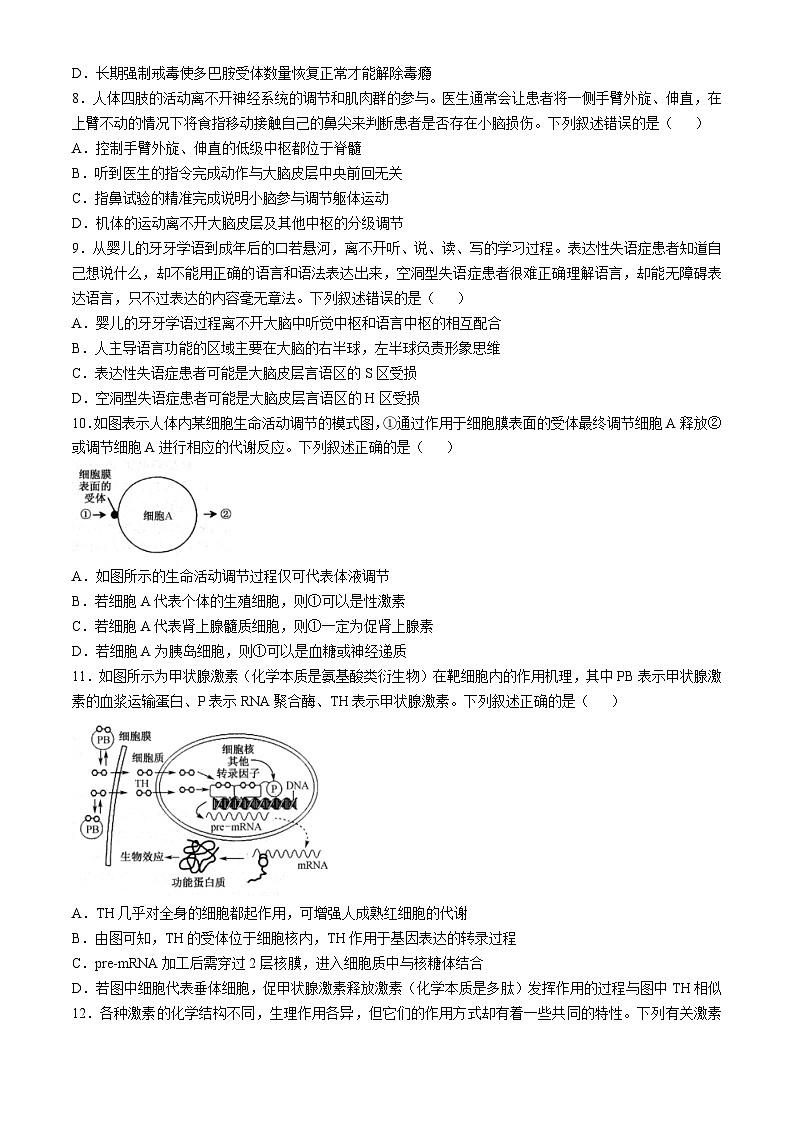 安徽省阜阳市亲情学校2024-2025学年高二上学期10月联考生物试卷第3页